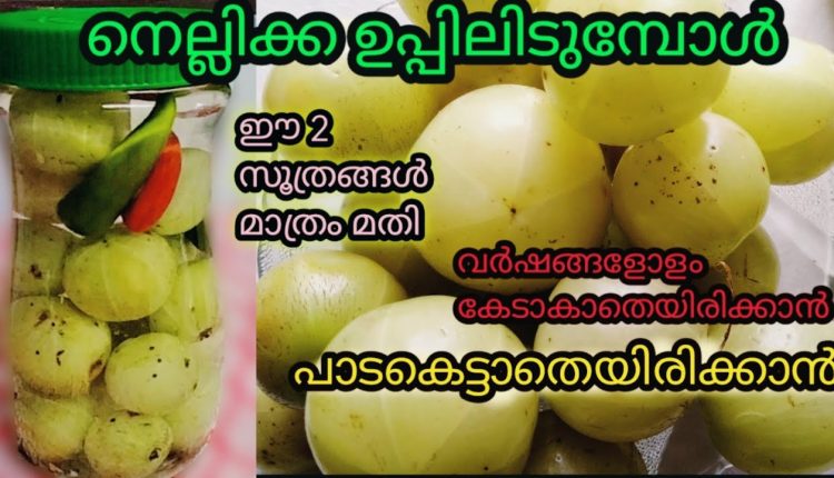 Video Thumbnail: നെല്ലിക്ക ഉപ്പിലിട്ടത് വർഷങ്ങളോളം കേടാകാതെയിരിക്കാൻ/#Nellikka uppilittatu