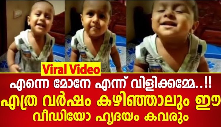 Video Thumbnail: എത്ര കണ്ടാലും മതിവരില്ല, ഹൃദയം കവരും ഈ പിഞ്ചോമനയുടെ വീഡിയോ…