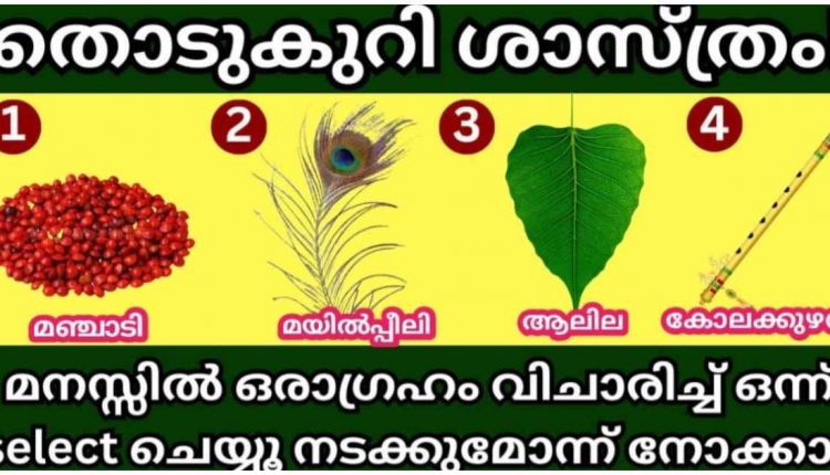 _Vishu Special Thodukuri shasthram Video Viral_ (1)