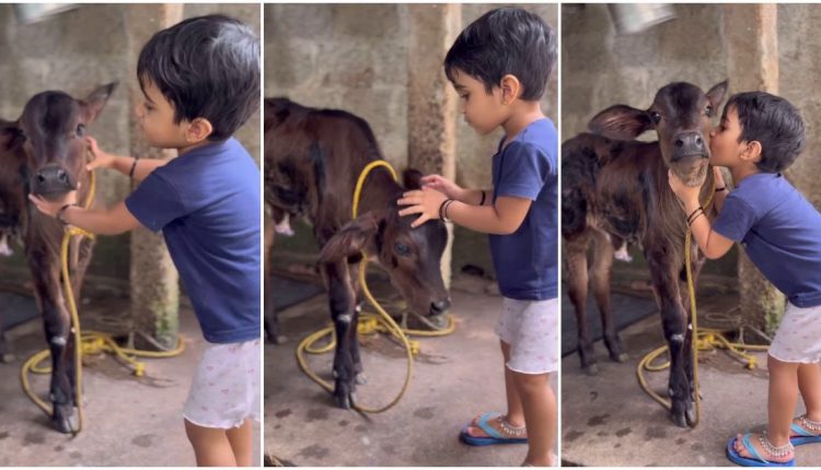 Cute-baby-with-cow-viral-video-malayalam-latest