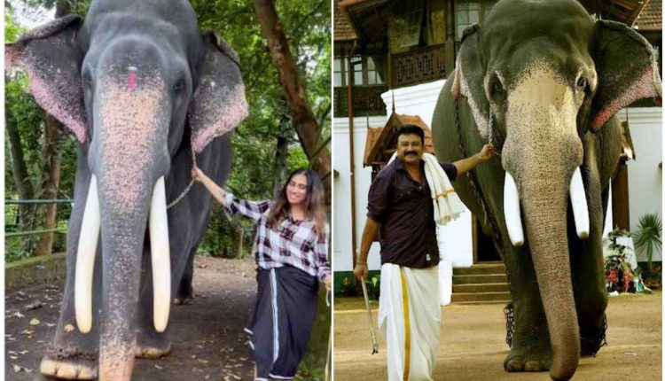 Malavika jayaram (1)_11zon