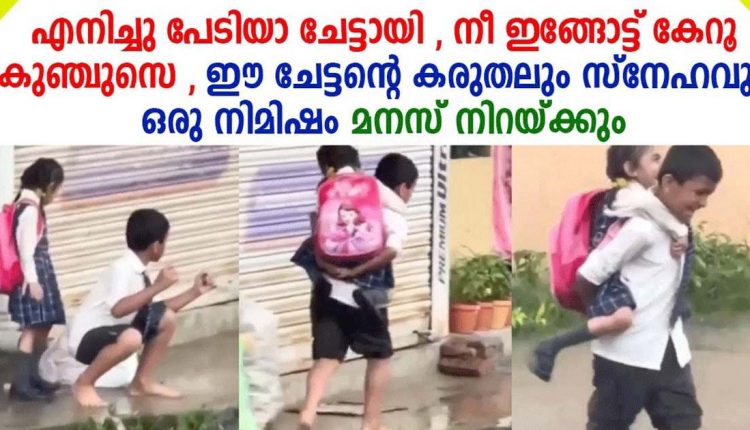 brother-sis_11zon (1)