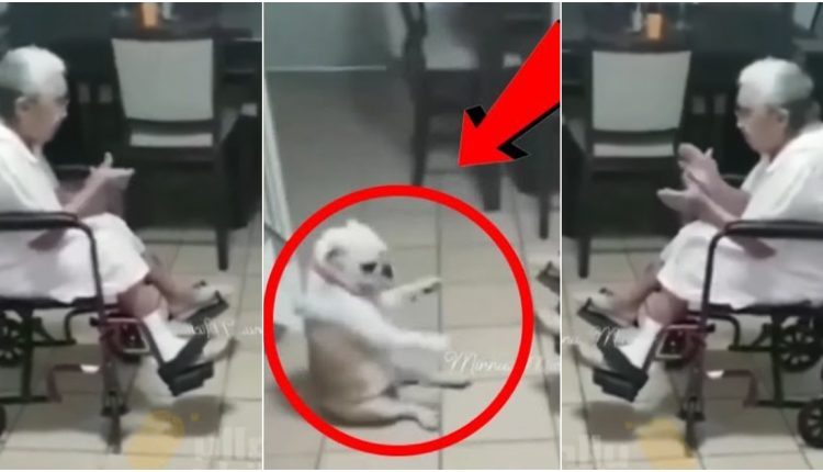 1 – 2023-10-16T234515.480_11zon