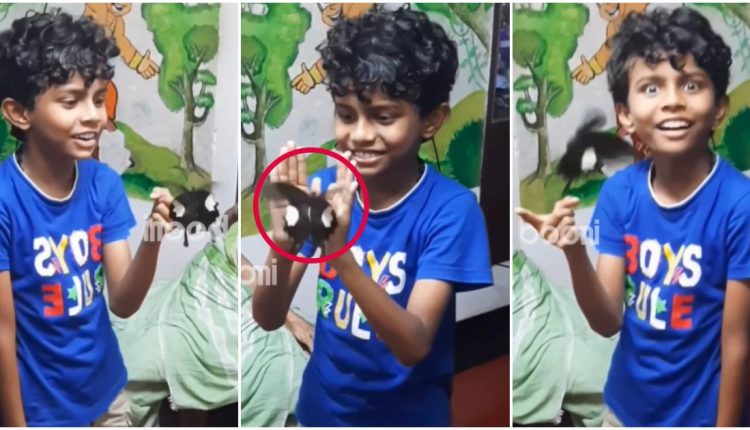 1 – 2023-10-19T161021.228_11zon