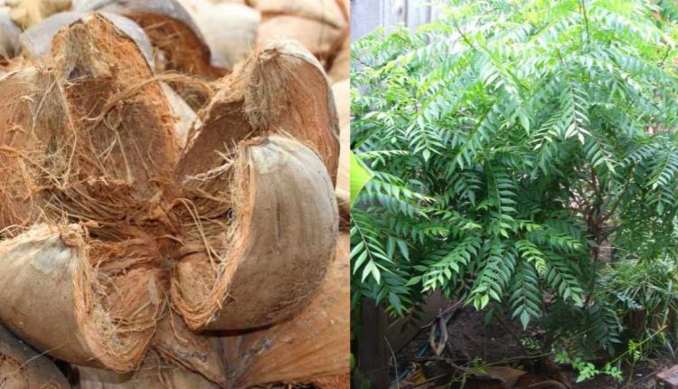 1 – 2023-11-15T070312.809_11zon