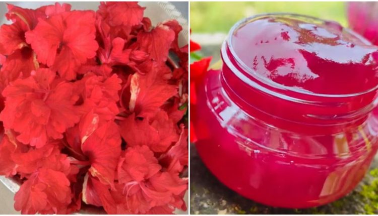 1 – 2023-11-16T163107.665_11zon