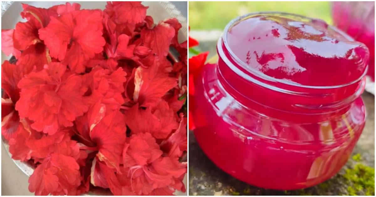 Homemade Hibiscus Gel For Hair And Face