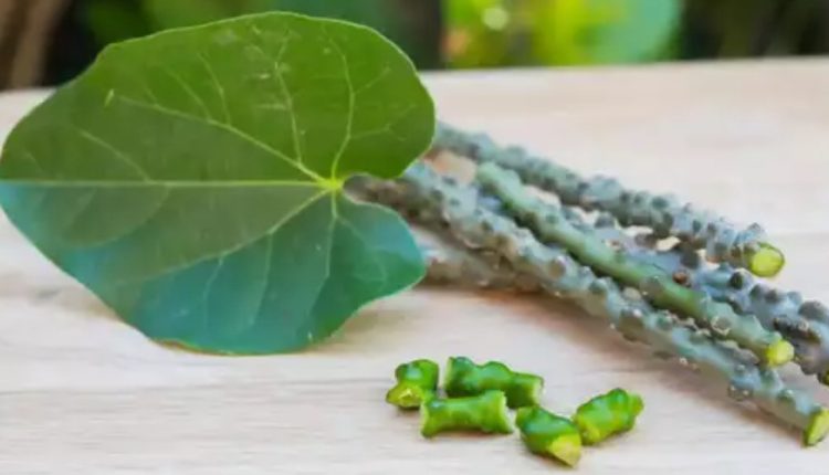 1 – 2023-11-16T165234.228_11zon