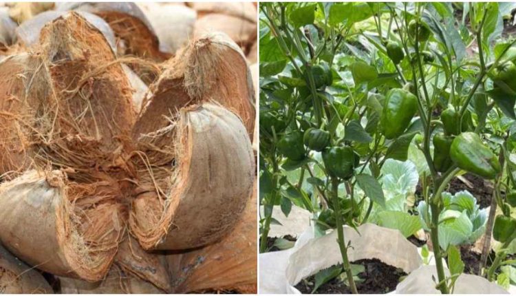 1 – 2023-11-17T134235.606_11zon