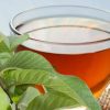 Tip To Reduce Fever Using Guava Leaf