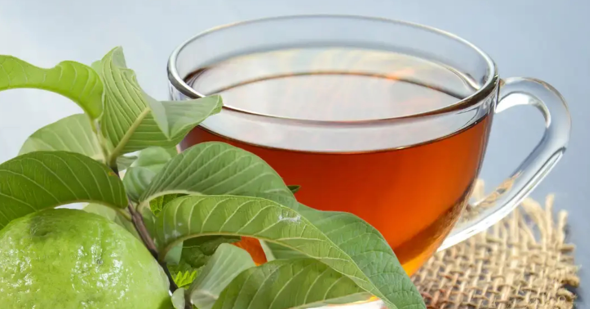 Tip To Reduce Fever Using Guava Leaf