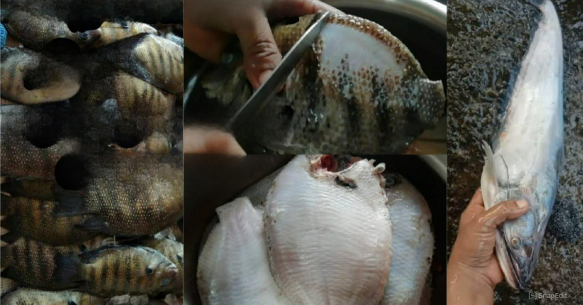 Easy Fish Cleaning Tricks Using Lemon