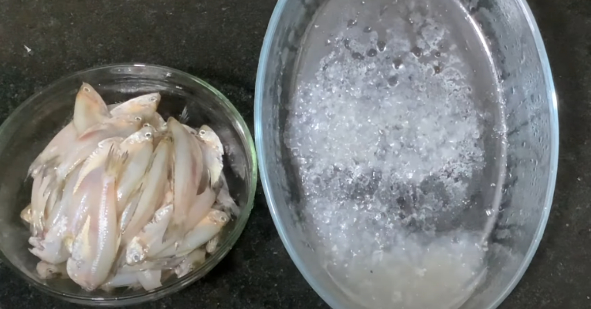 Fish Scales Removing Easy Tip