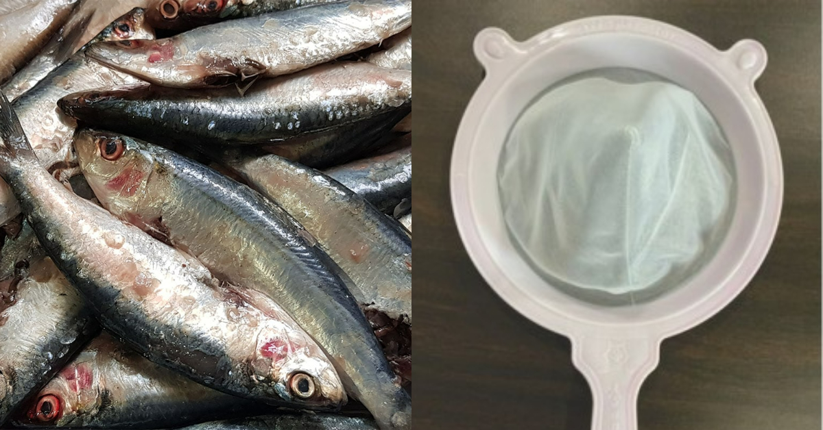 Sardine Fish Cleaning Easy Trick