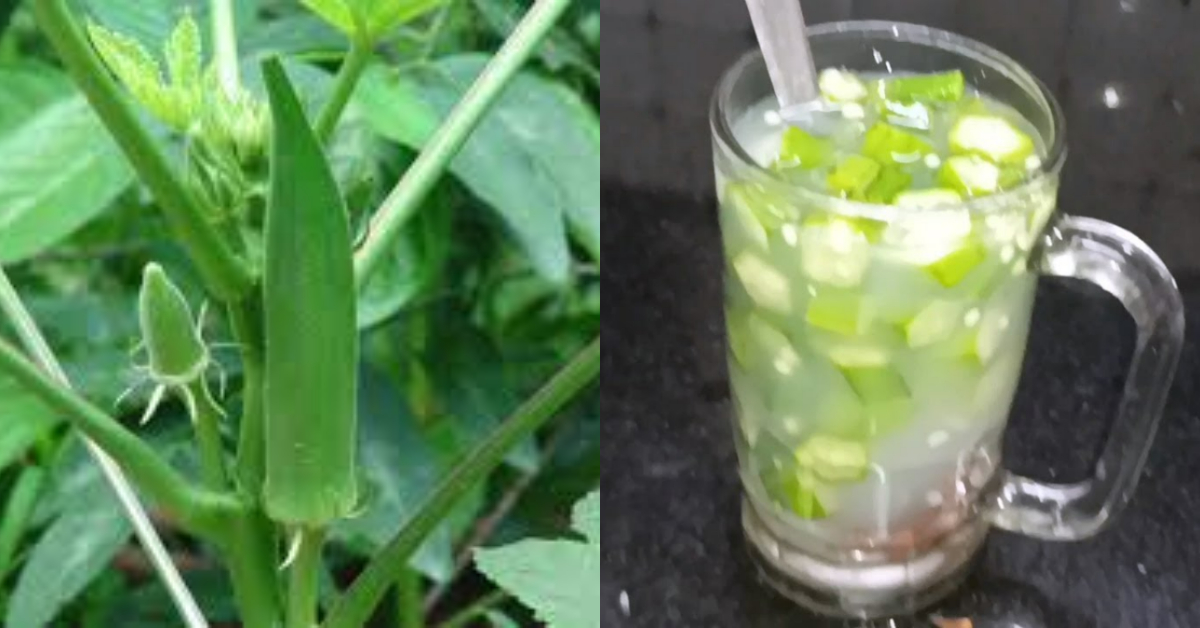 Sugar Reducing Drink