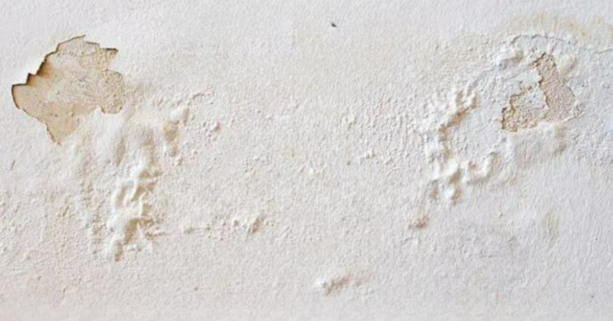 Wall Dampness Treatment Sollution