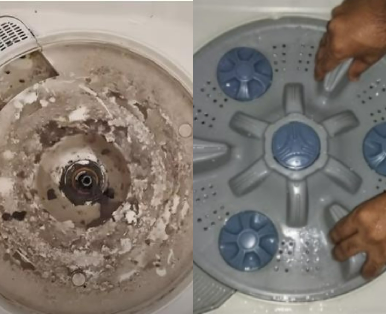 Washing Machine Cleaning Easy Tricks