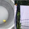 White Cloth Brightening Tips