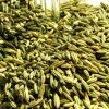 Fennel Seed Usage At Home