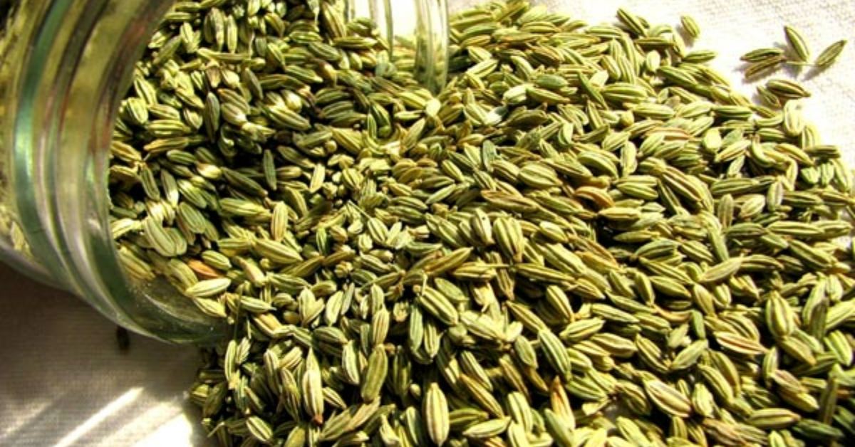 Fennel Seed Usage At Home
