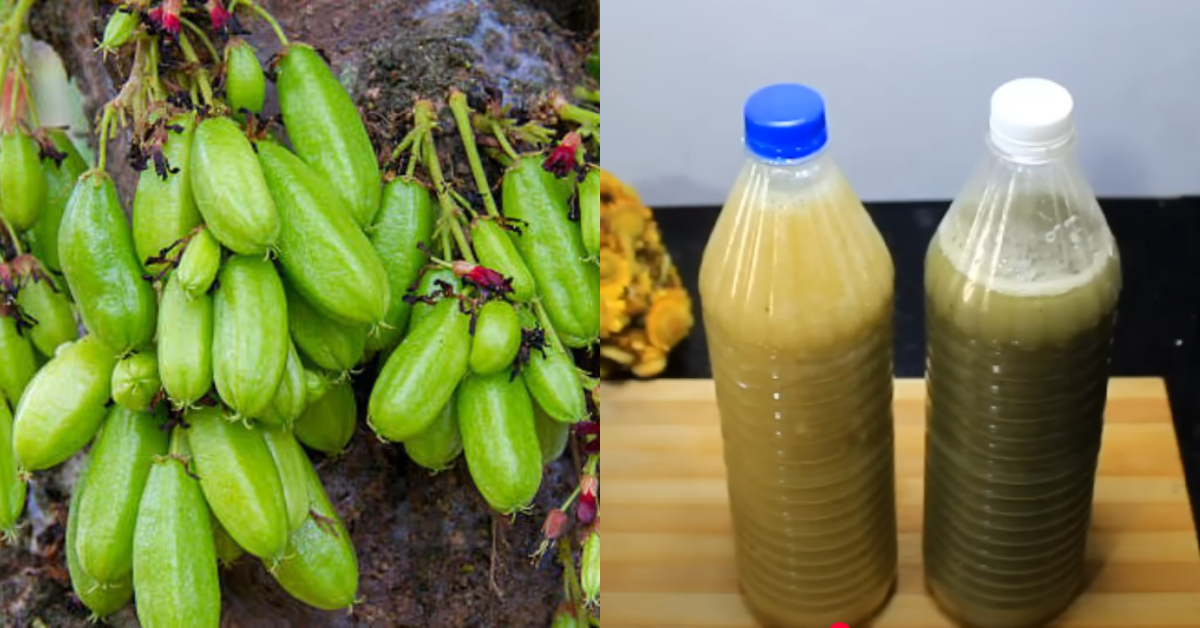Homemade Dish Wash Liquid Making