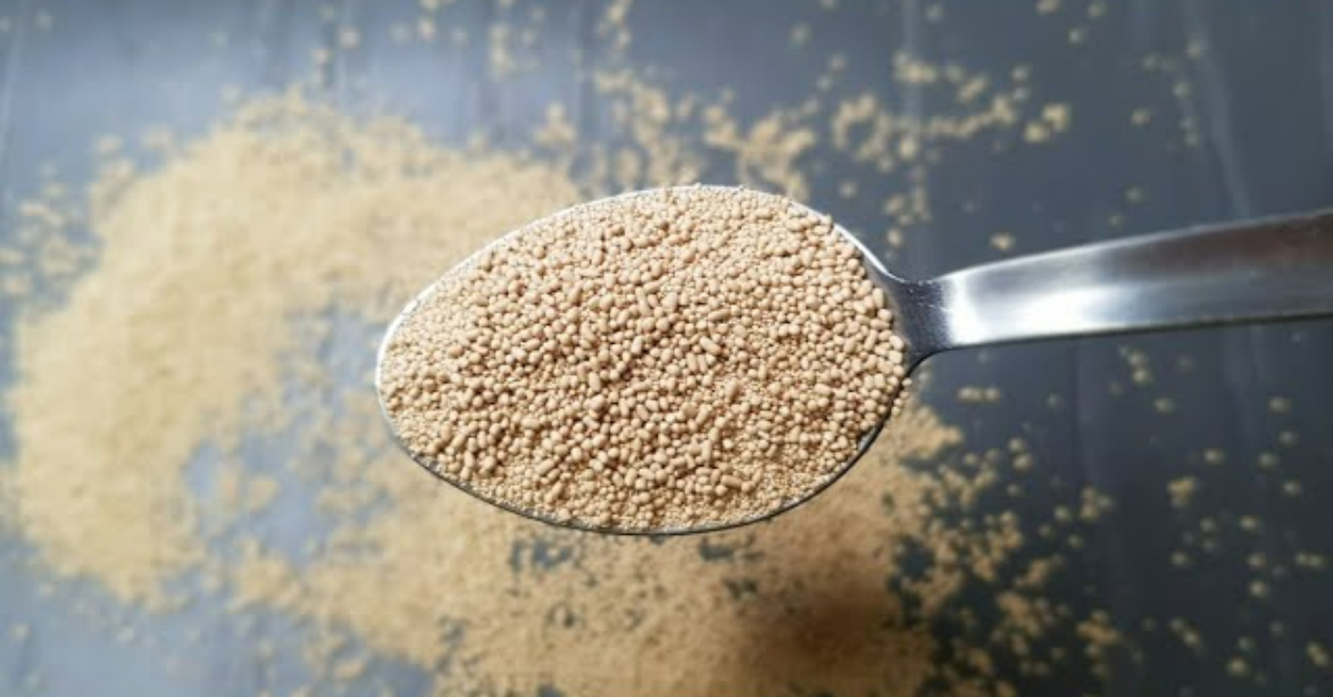 Homemade Yeast Easy Recipe