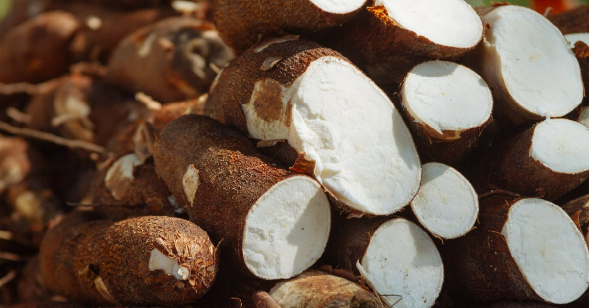 Tip To Store Tapioca Fresh For Long