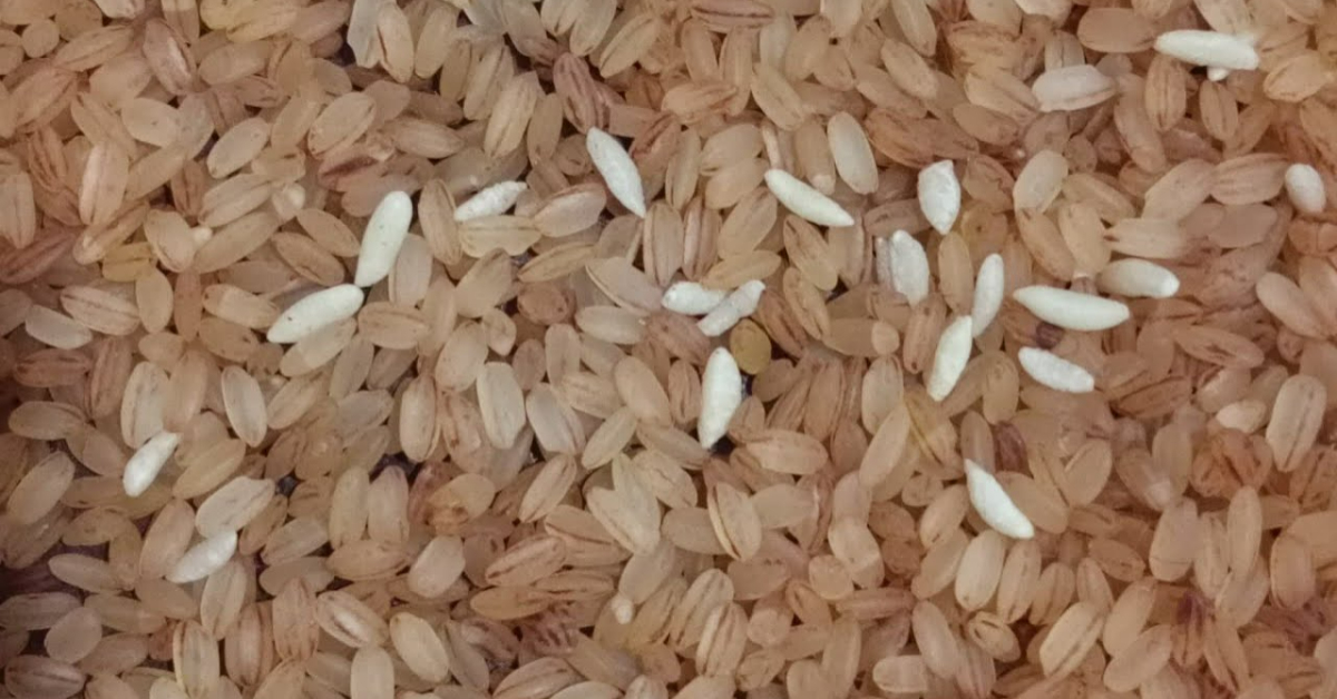 Ration Shop Fortified Rice
