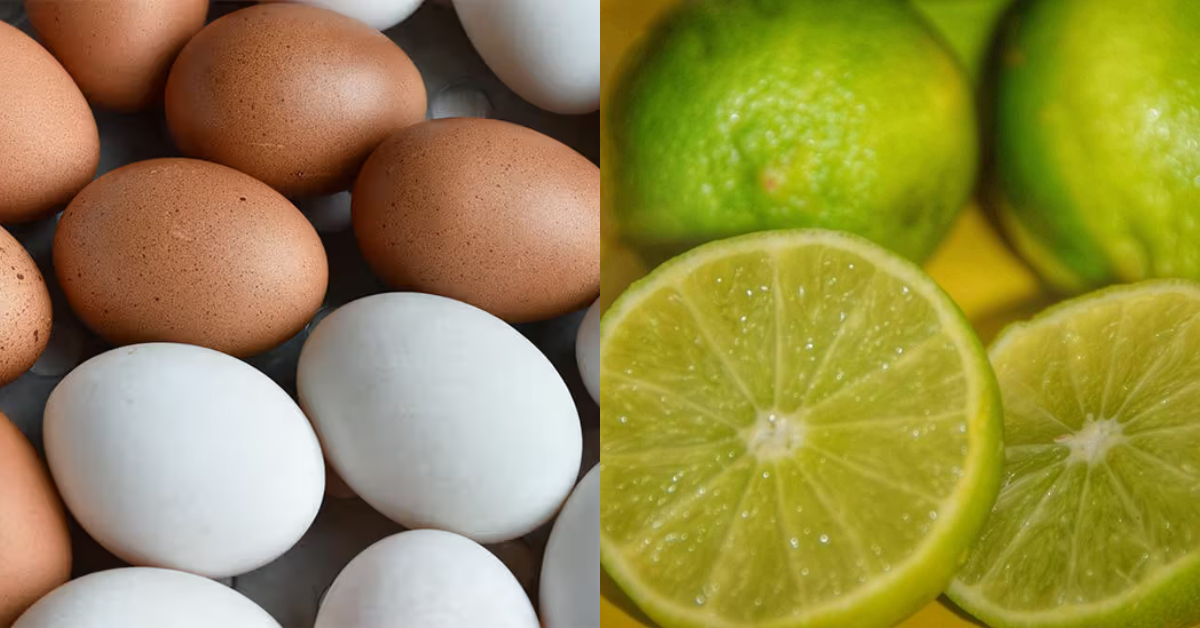 Tip To Identify Real Egg