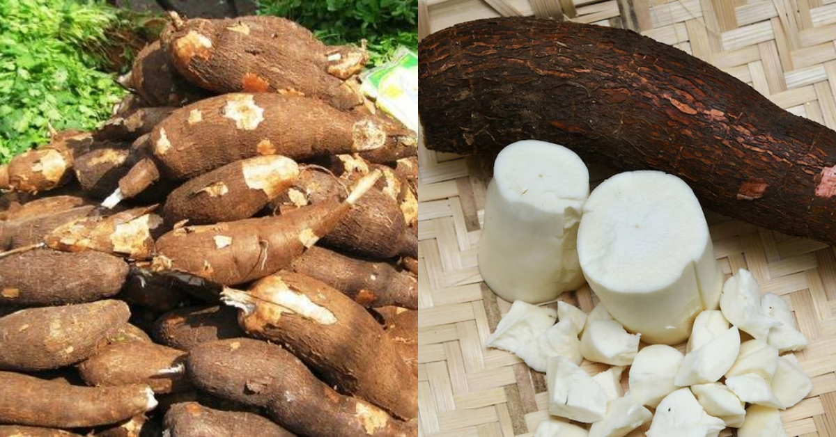 Tip To Store Tapioca Fresh For Long