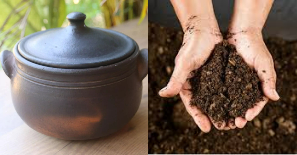 Easy tip To Make Kitchen Compost