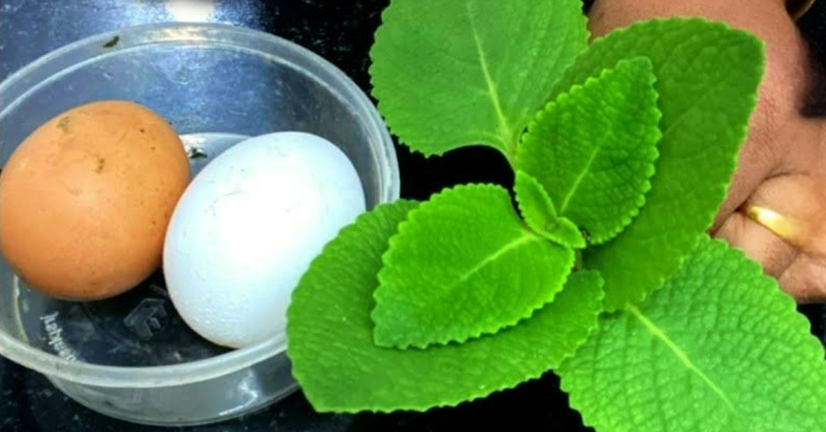 Home Remedies For Knee Pain