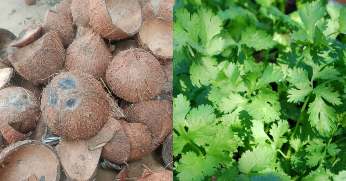 Malliyila Krishi Easy Tricks