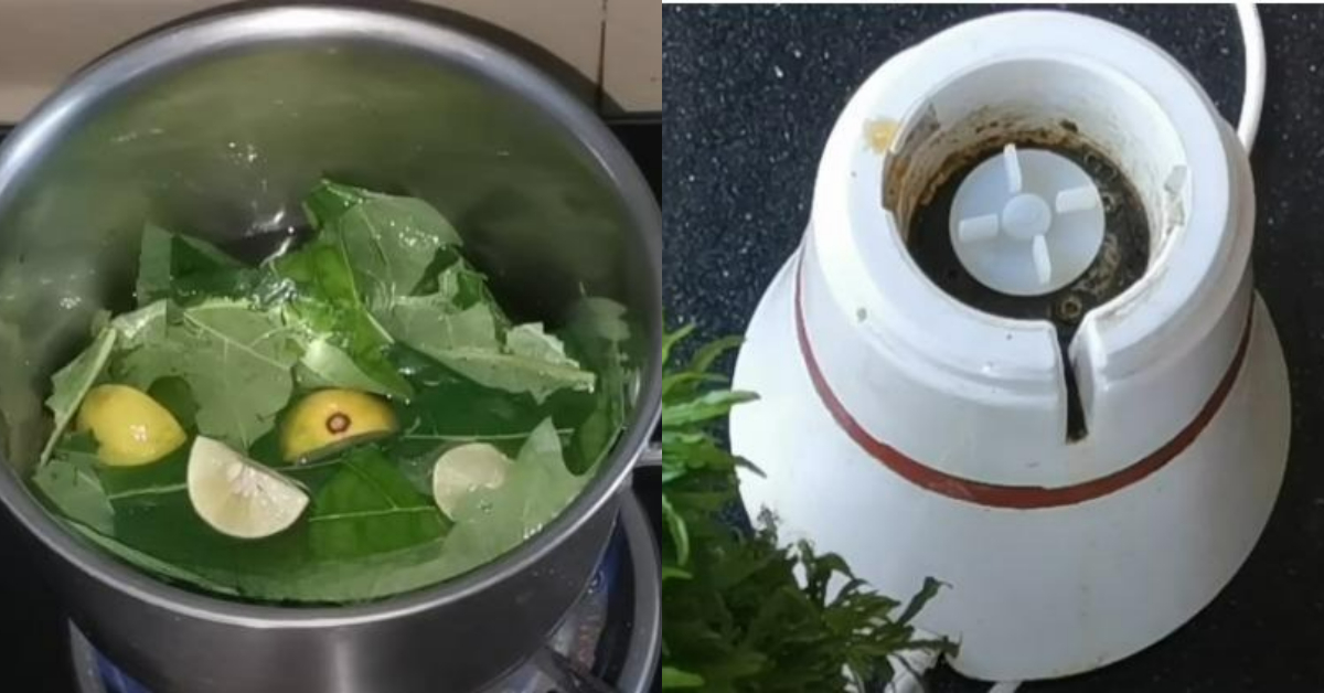 Mixer Grinder Cleaning Tip Using Papaya Leaf