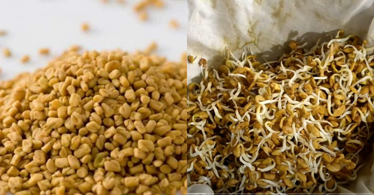 Uluva Mulappichathu Health Benefits
