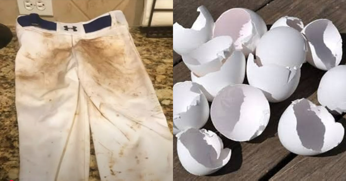 Easy Tip To Dress Whitening Using Egg Shells