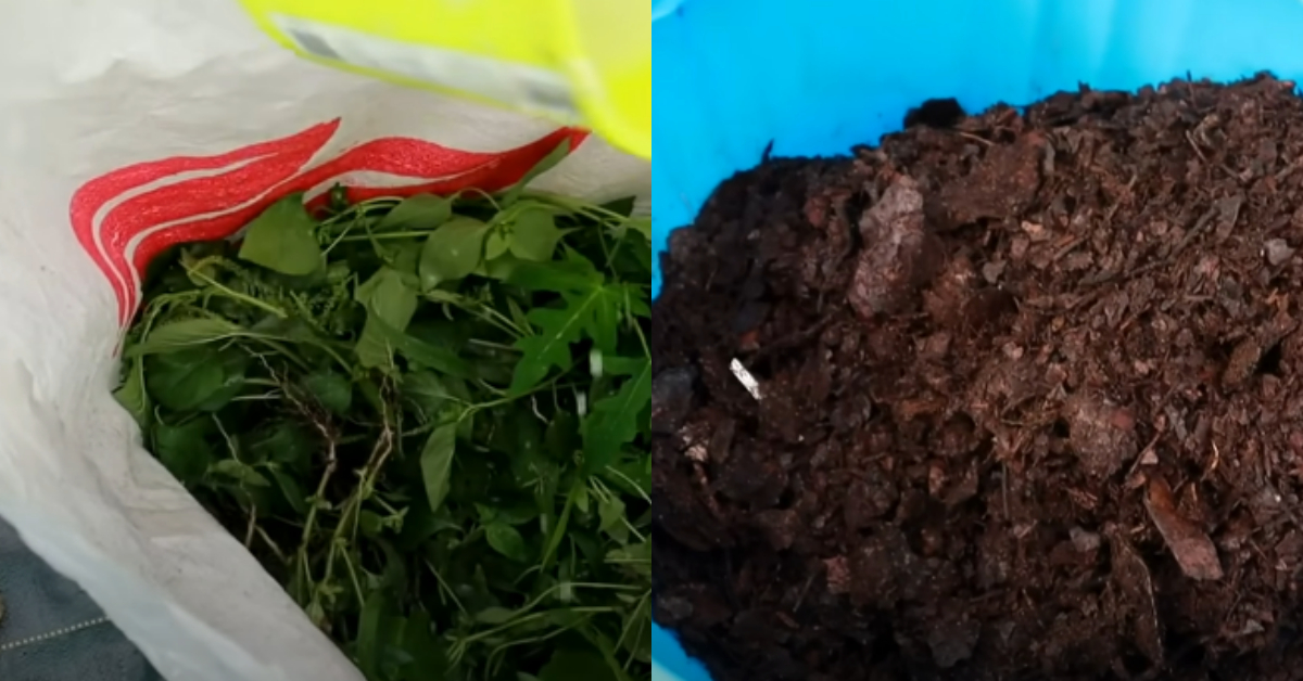 Easy Zero Cost Fertilizer Making Tip