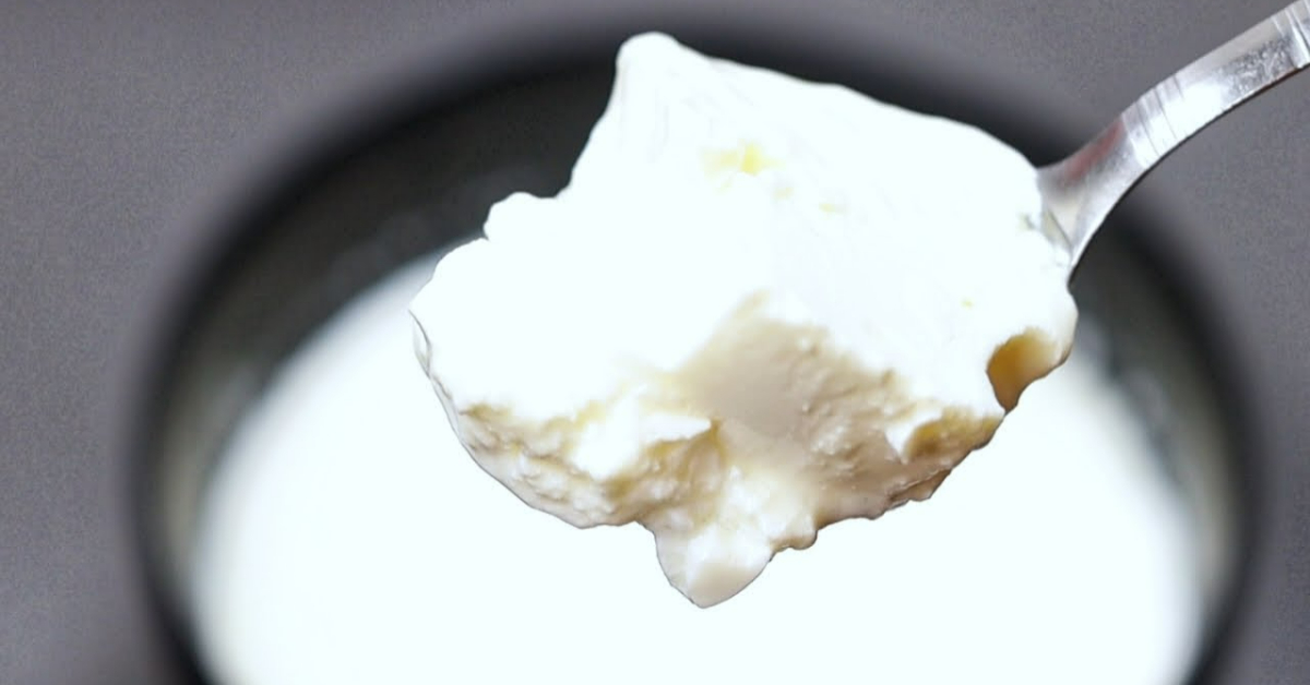 Homemade Thick Curd