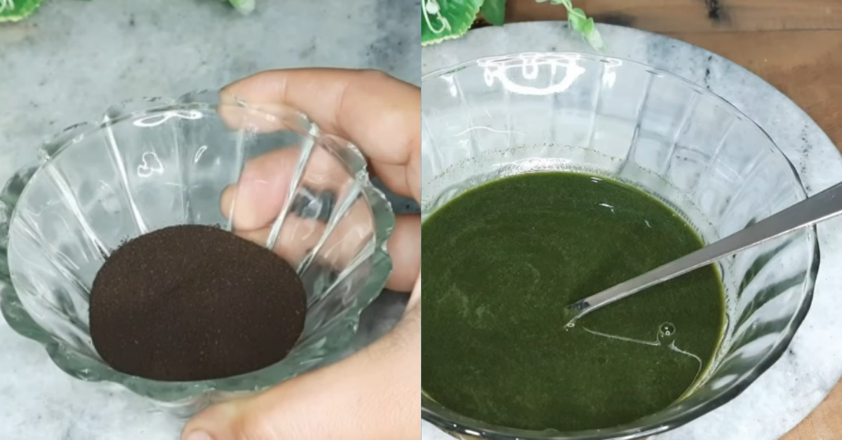 Tea Powder for Fast Hair Growth
