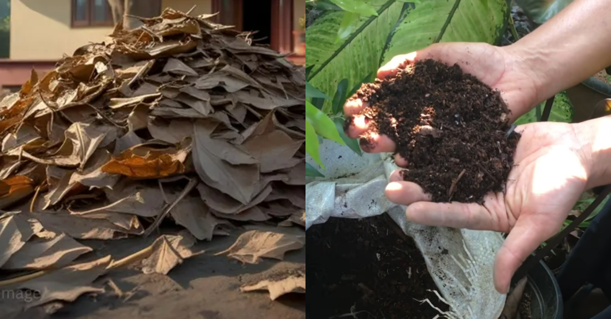 To Make Compost Easliy