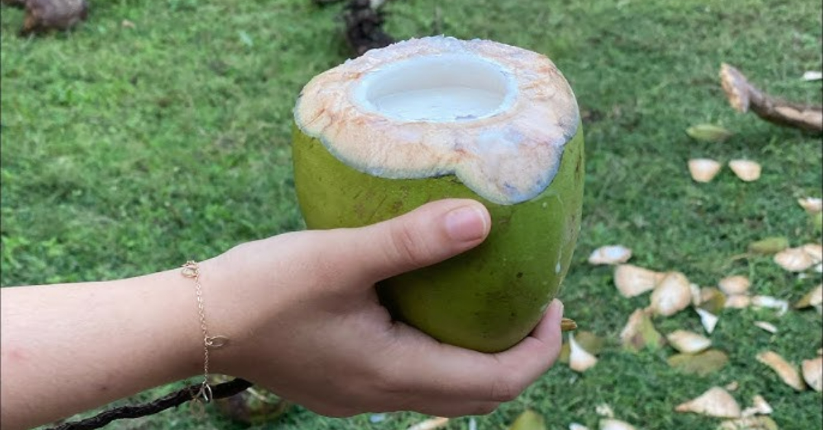 kidney stone removing naturally