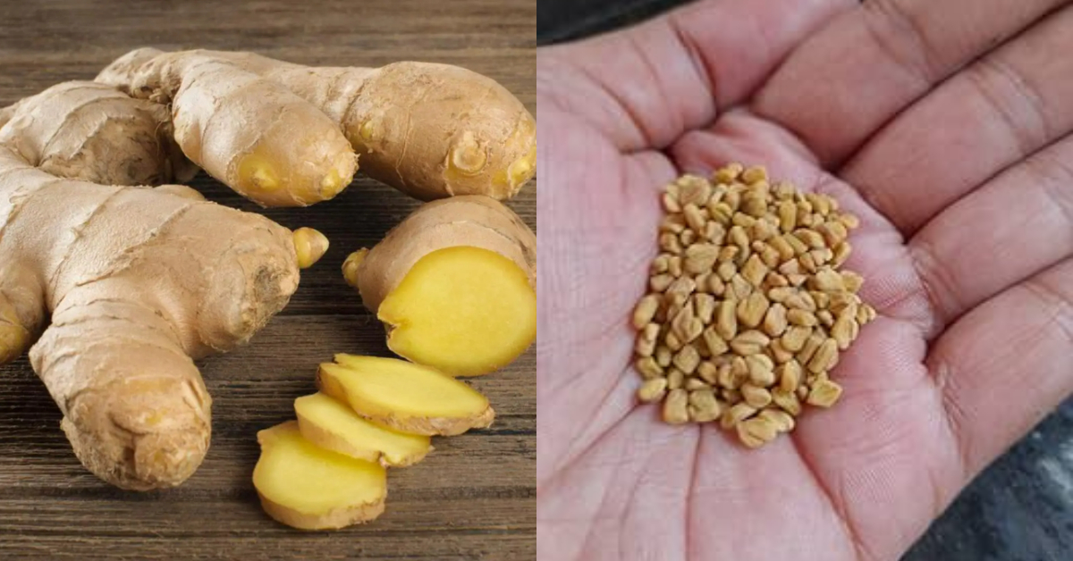 Fenugreek Ginger Health Benefits