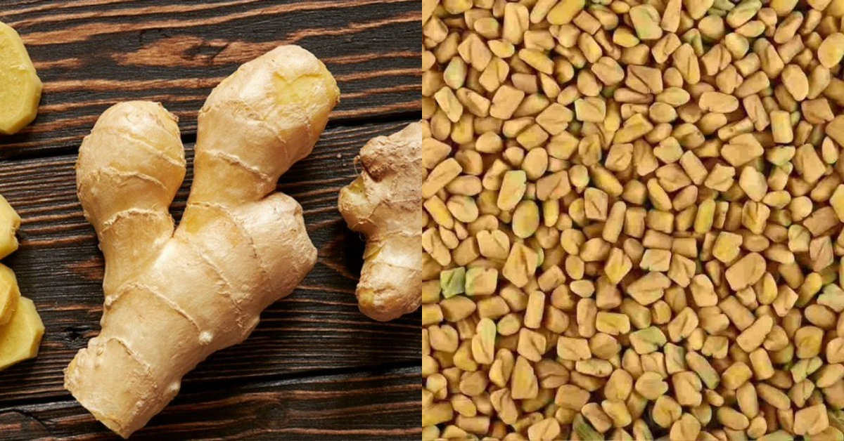 Ginger Fenugreek Health Benifits