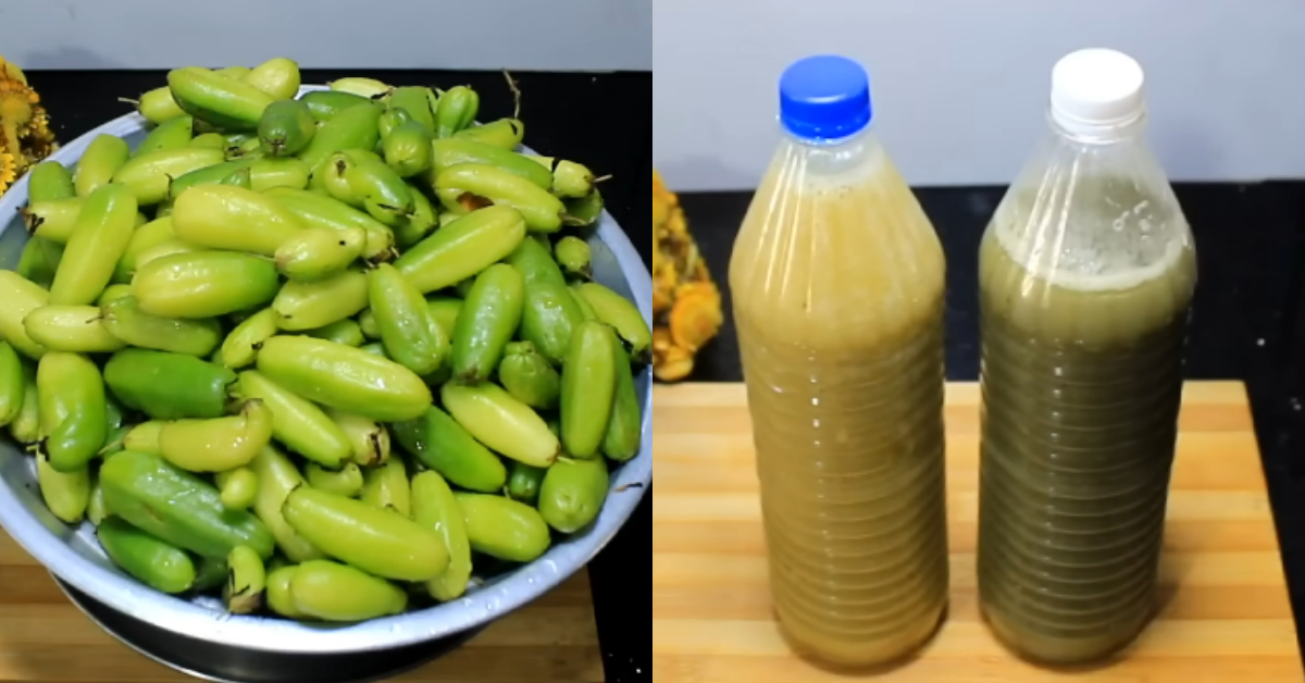 Homemade Dish Wash Liquid Making