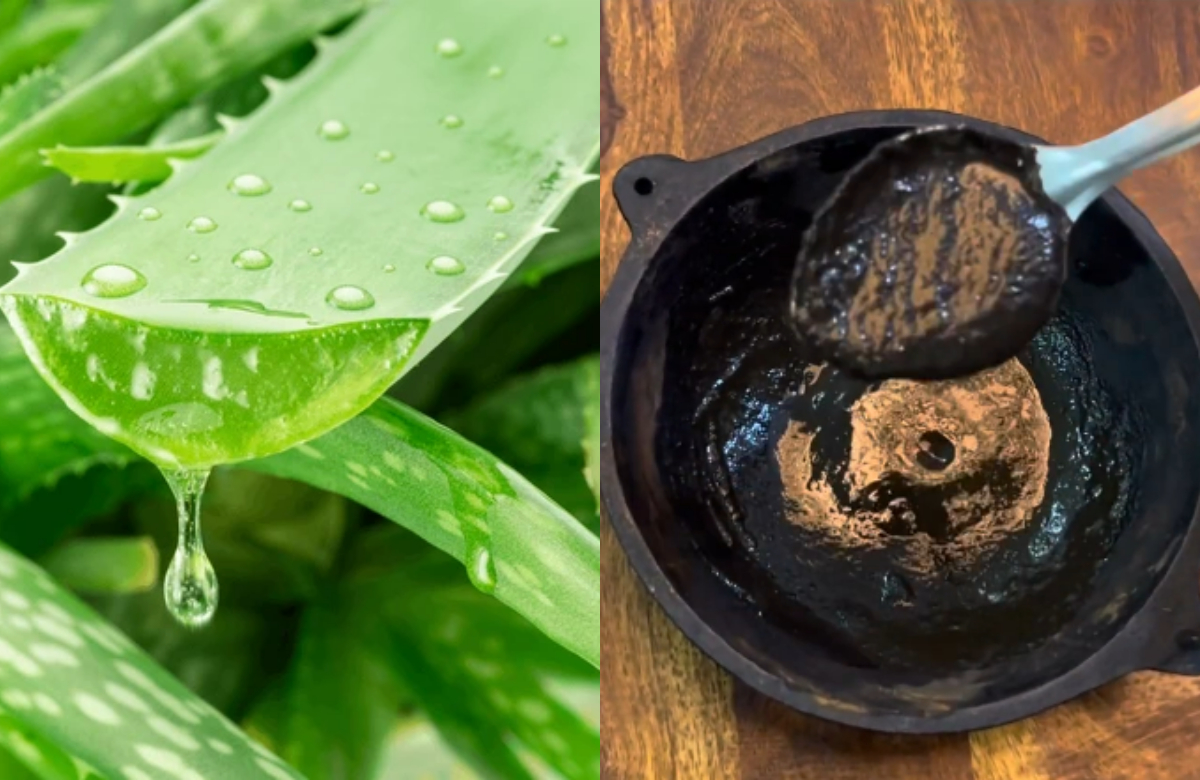 Natural Long Lasting Hair Dye Using Curry Leaves