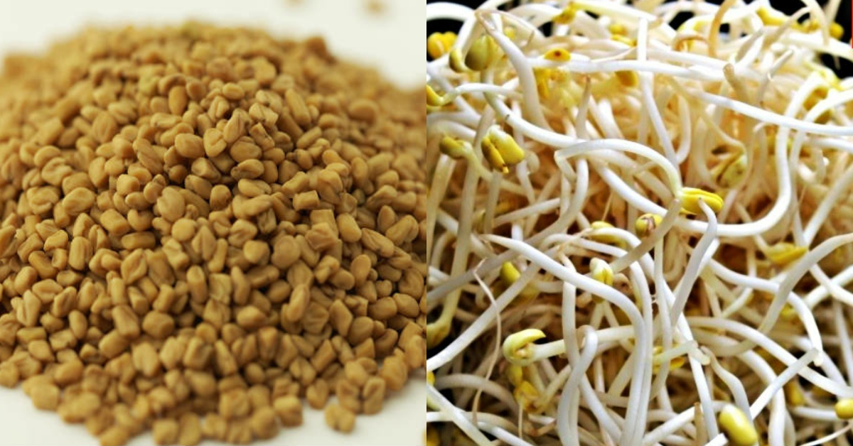 Uluva Mulappichathu Health Benefits