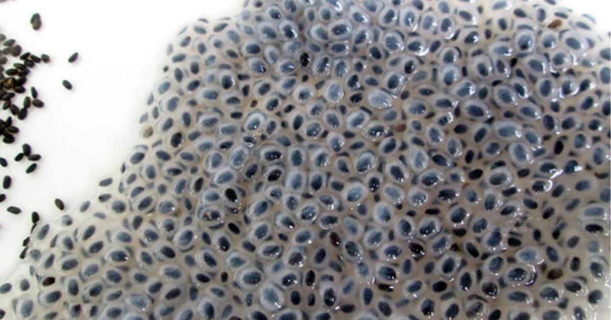 Easy Kaskas Making Using Thulasi