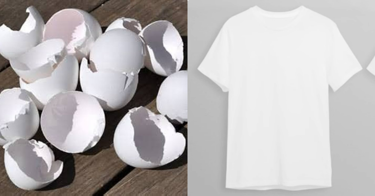 Easy Tip To Dress Whitening Using Egg Shells