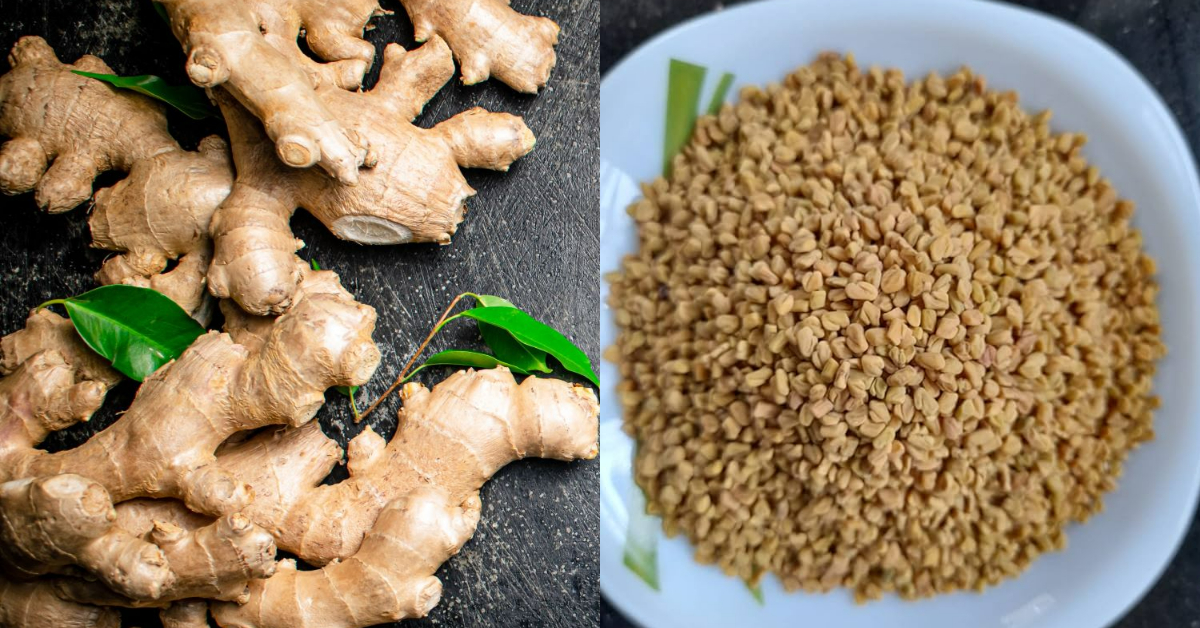 Ginger Fenugreek Health Benifits