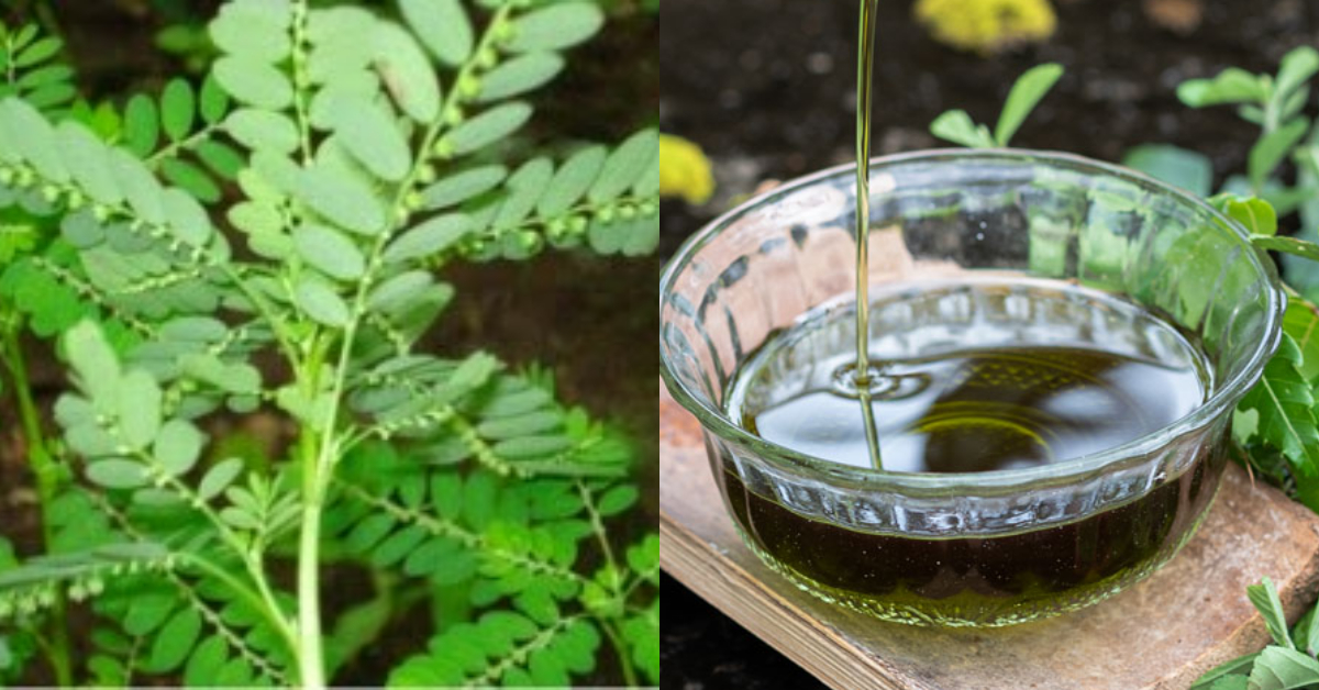 Herbal Hair Oil Using Keezharnelli